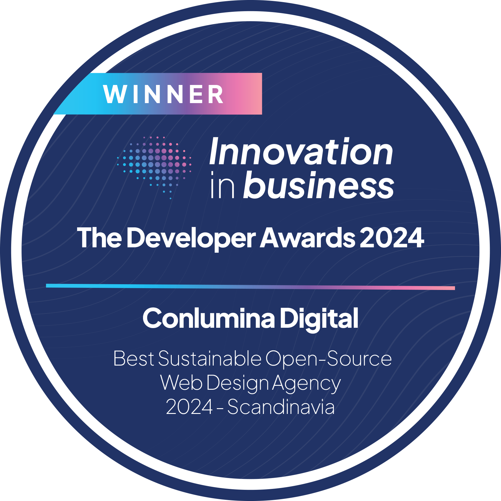 best sustainable web design agency 2024 the developer awards